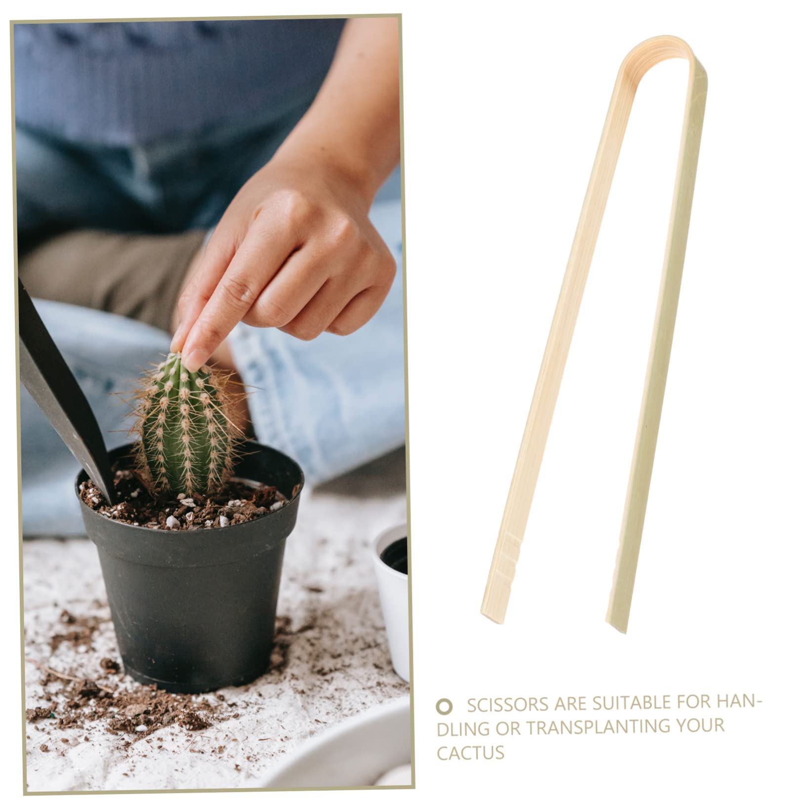 Lot De 10 Pinces De Transplantation Pour Cactus Accessoires D'entretien De Plantation