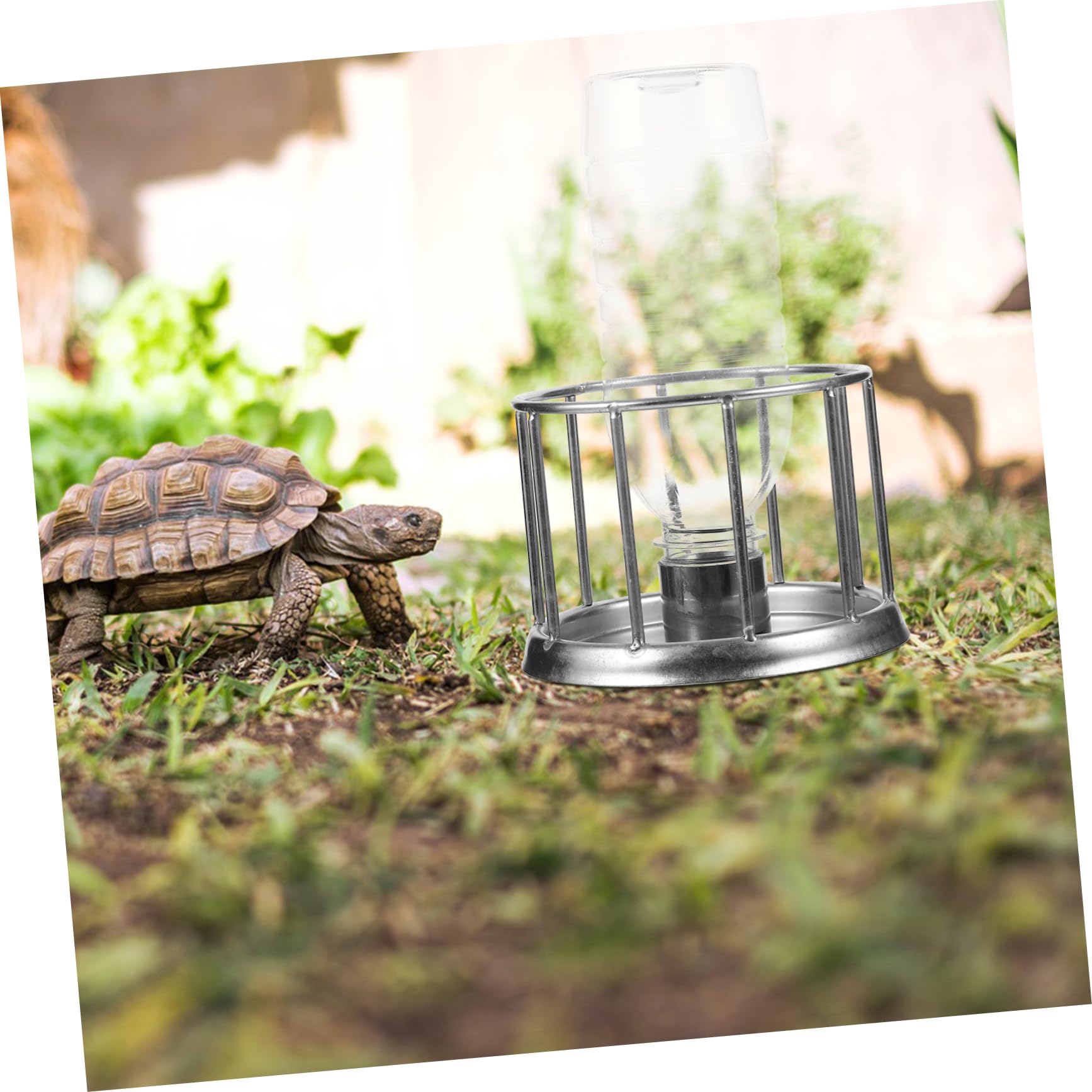 INOOMP 4piezas Mini Comedero De Acero Inoxidable para Reptiles Plato De Agua y Comida para Tortugas y Lagartijas Terrario Accesorios Diseño Multi-Funcional para Mascotas Pequeñas