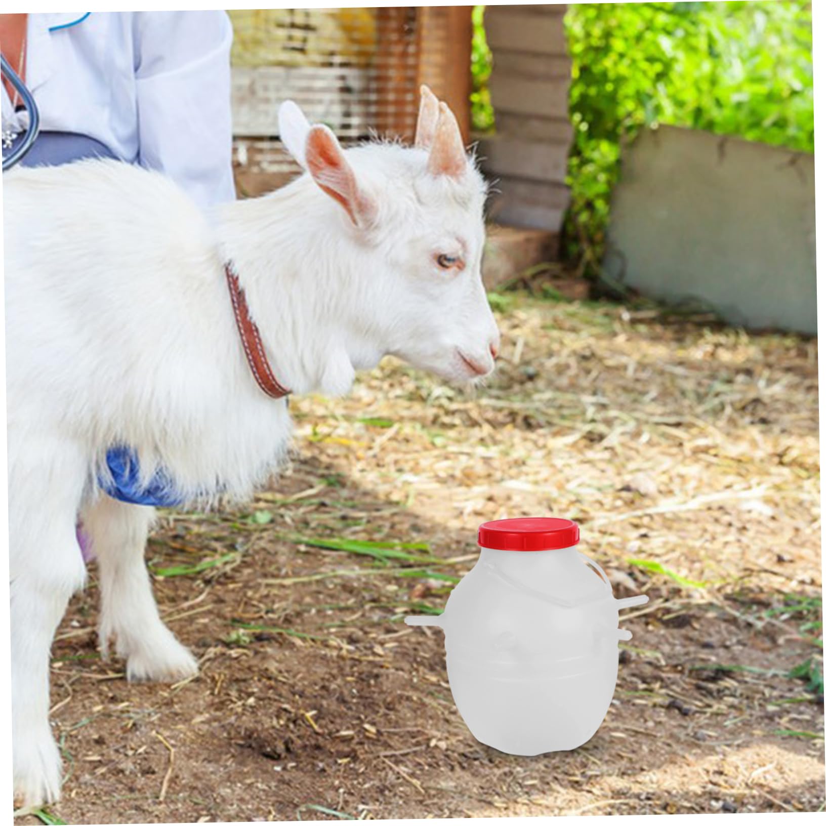Biberon Latte per Agnelli da 8000ml con Ciuccio in Silicone | Secchio Bianco Riutilizzabile, Plastico per Alimentazione Sicura, per Vitelli e Animali Appena Nati