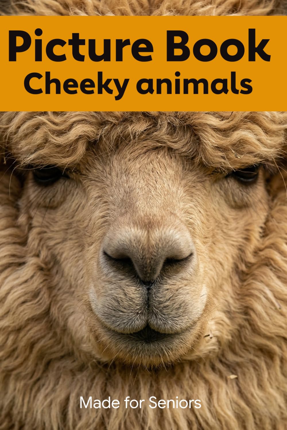 Picture Book for Seniors - Cheeky animals. Vibrant Animal Colour Photographs for Dementia and Alzheimer's Patients with names.