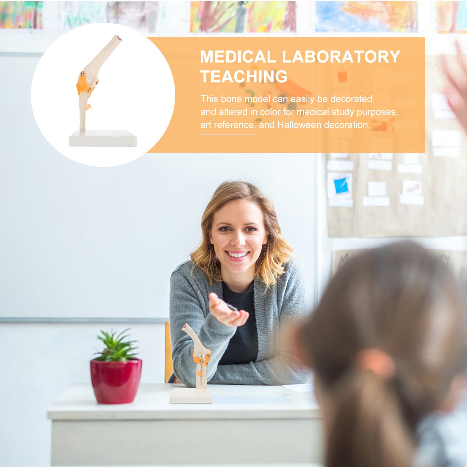 SHINEOFI Lebensgroßes Ellenbogengelenk Modell aus PVC für Anatomieunterricht und Klinische Schulung – 3D Skelettmodell mit Stativ