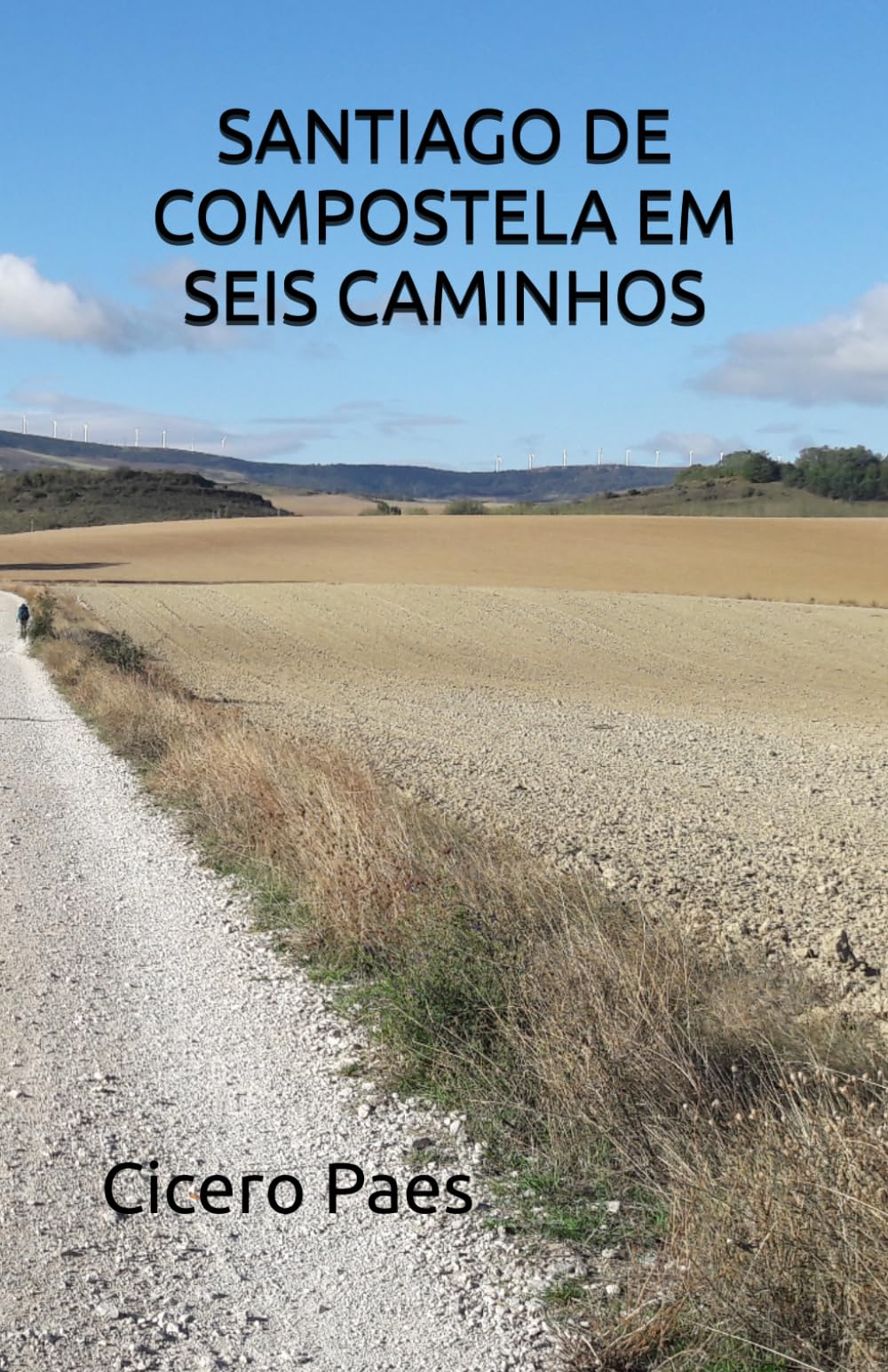 SANTIAGO DE COMPOSTELA EM SEIS CAMINHOS