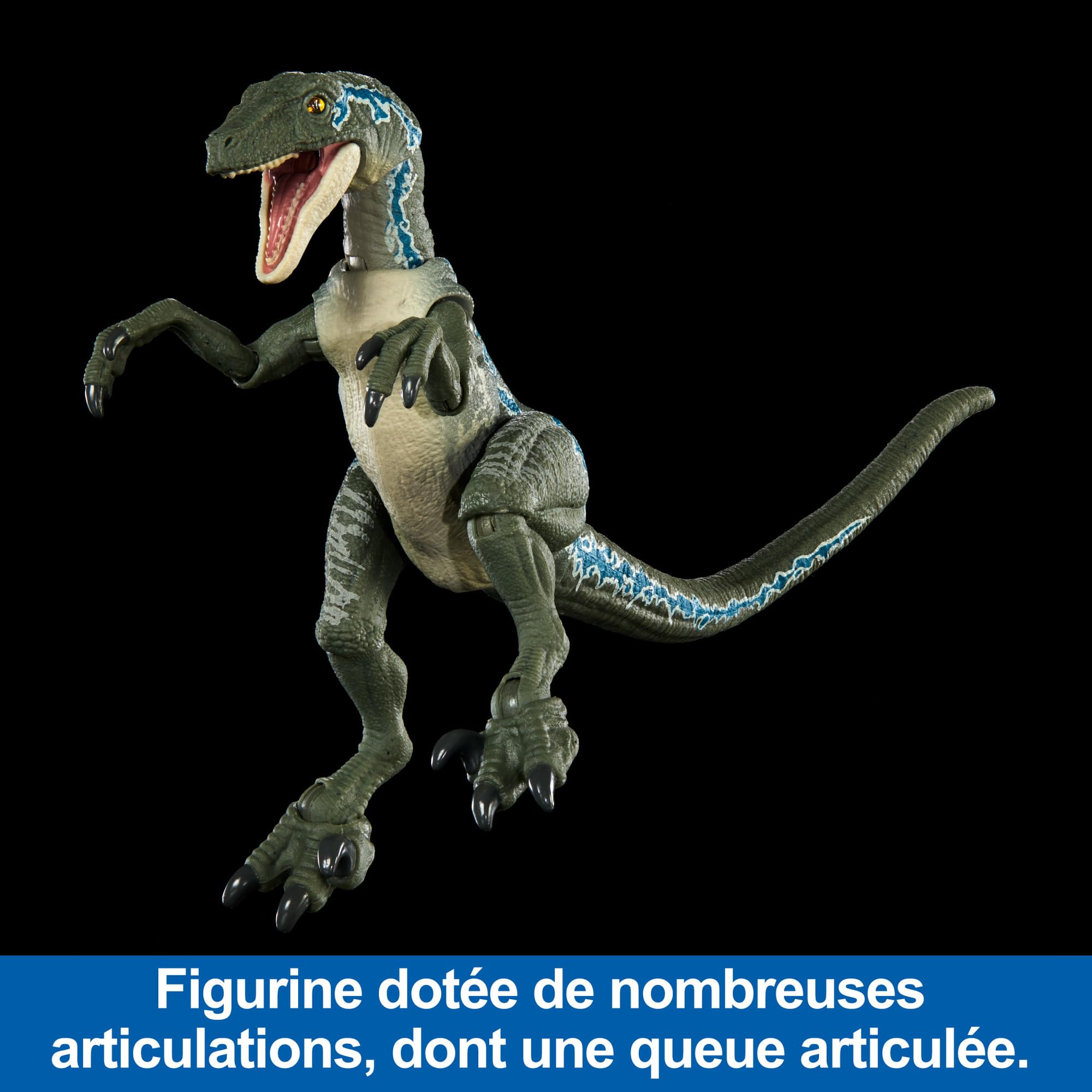 Mattel Jurassic World Hammond Collection – Atrociraptor Ghost – Figurine 21,6 Cm, 14 Articulations, Yeux En Verre