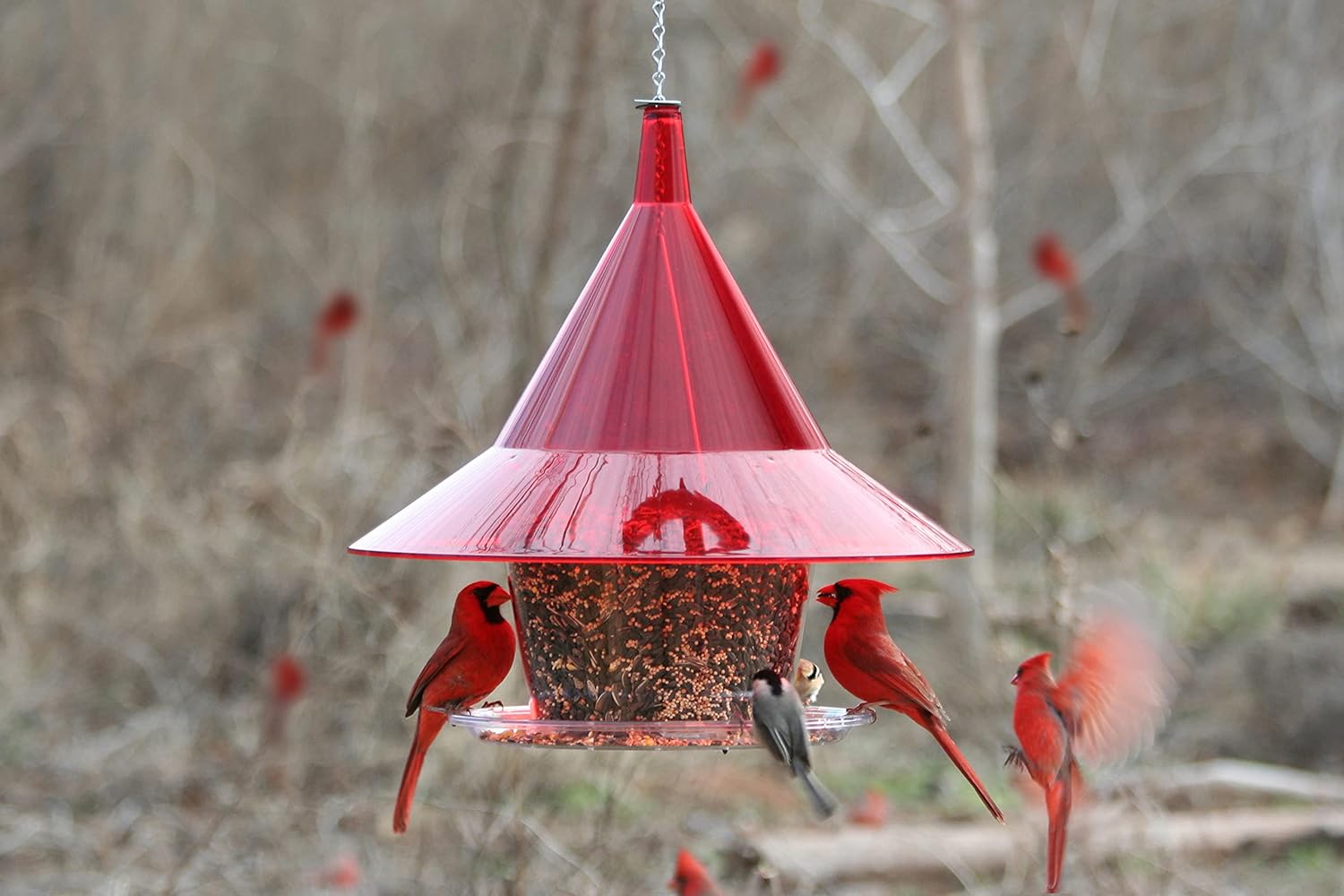 Sky Cafe - Squirrel Proof Bird Feeder for Outside - Large, 17 in. Diameter, 1.5 Gallon Birdseed Capacity - Made in USA (Ruby Red) - Free Squirrel Mug