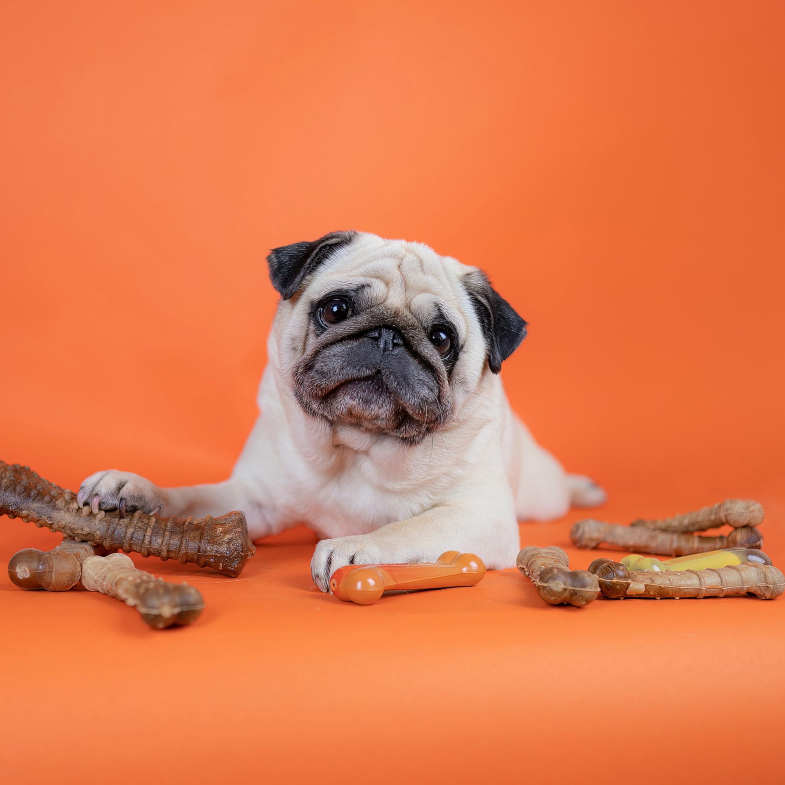 Nylabone Healthy Edibles Natural Dog Chews Long Lasting Roast Beef Flavor Treats for Dogs, Medium/Wolf (2 Count)