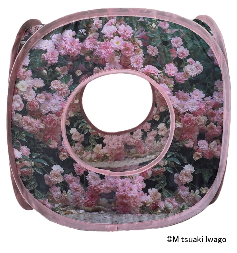 Amazon | ねこのきもち 猫テント 猫ハウス 岩合光昭「ねこ22