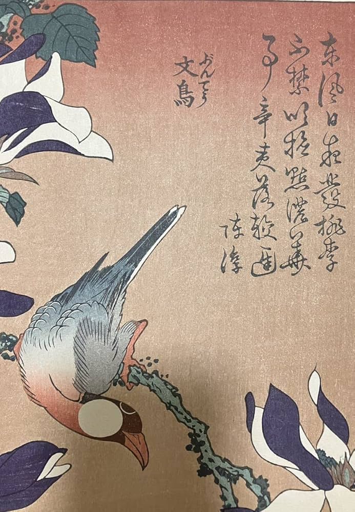 Amazon.co.jp: 復刻版 葛飾北斎「文鳥 辛夷花」大江戸版 花鳥画