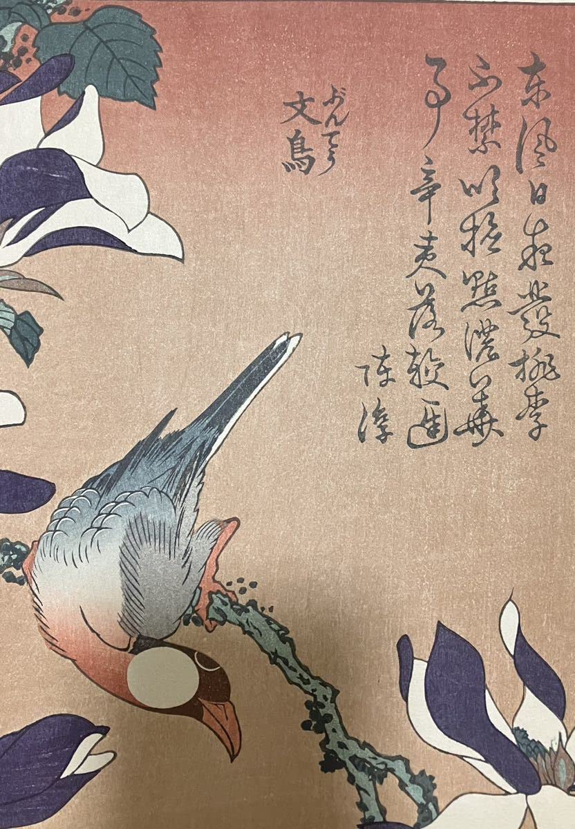 Amazon.co.jp: 復刻版 葛飾北斎「文鳥 辛夷花」大江戸版 花鳥画 浮世絵