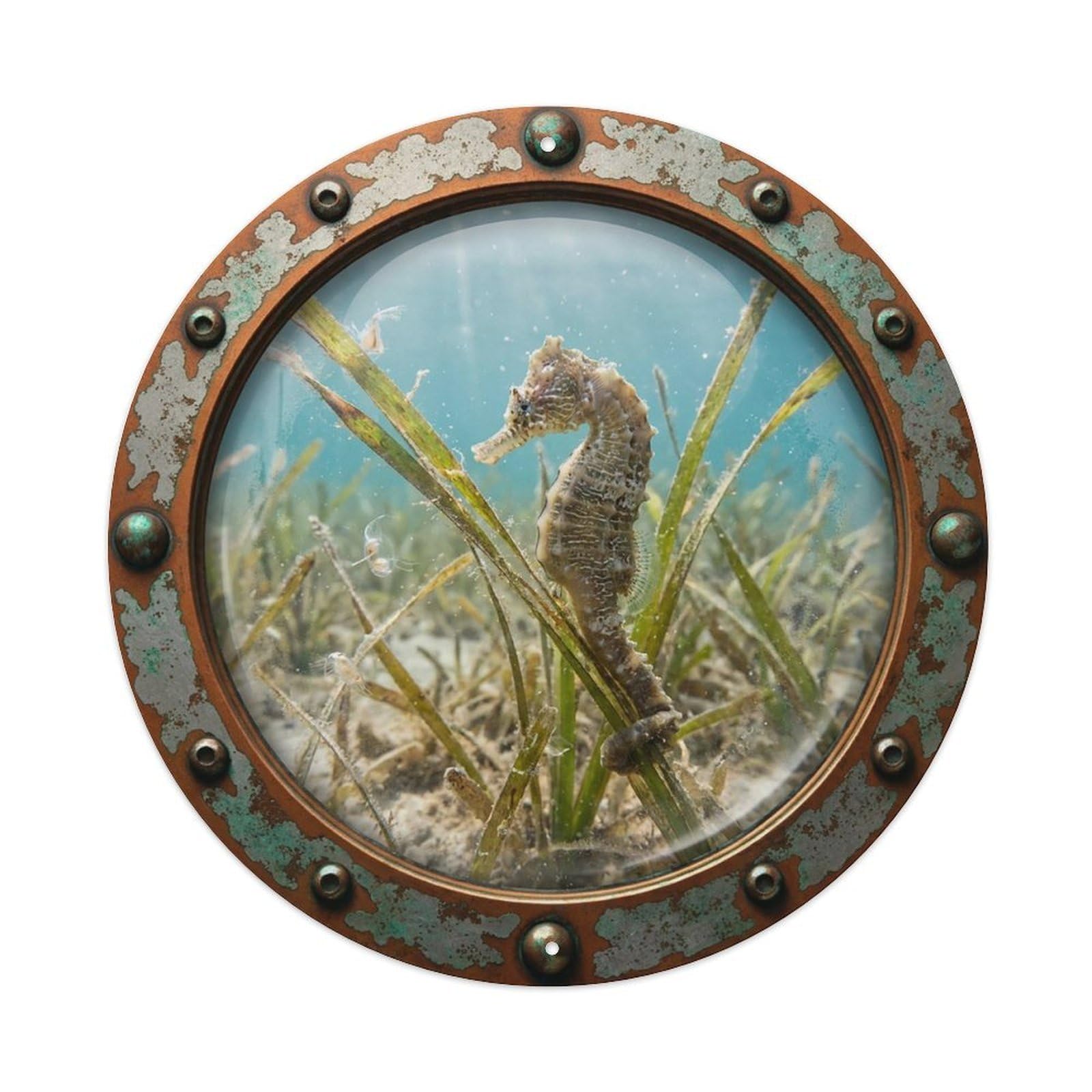 Gead 8X8inch Style Vintage Porthole Seahorse Habitat Nautical Window View Metal Tin Sign