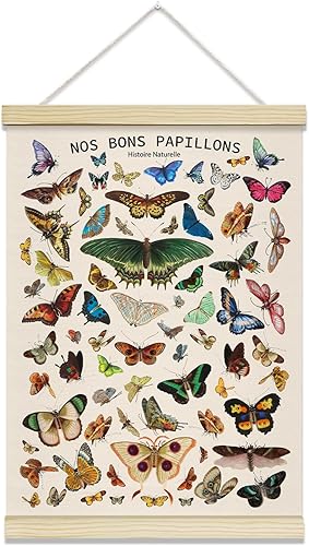 TRKAE Marco para colgar pósteres de lienzo con diseño de mariposa vintage, arte de pared Papillon estilo retro, decoración de pared estética para