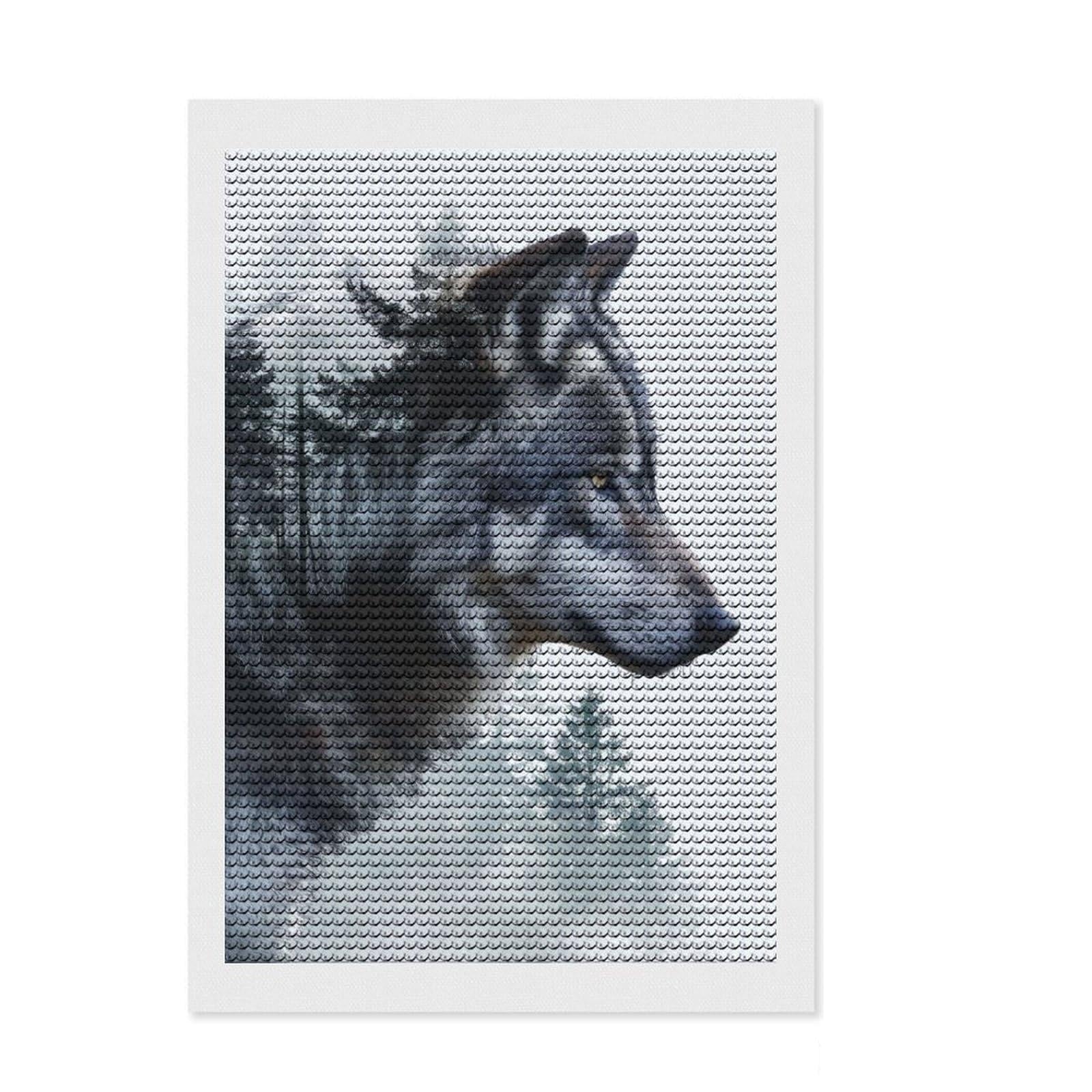 Junmoney Double Exposure Wolf Round Drill Diamond Painting 8"x12", for Teens, Good for Quiet Evenings, Aesthetic Room Decor, Holiday Gift Idea