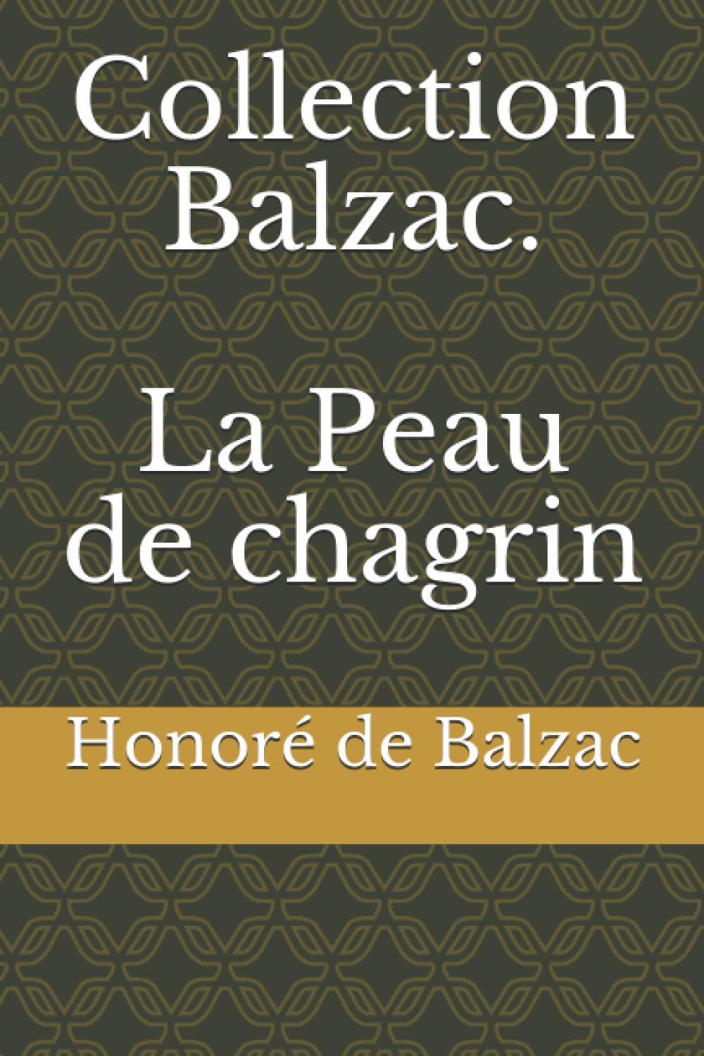Collection Balzac. La Peau de chagrin