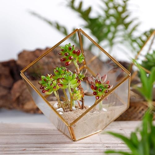 Miniatura 8 de ELEGANTLIFE Terrario geométrico de cristal para plantas suculentas, macetas de aire para decoración del hogar, jardín y oficina (juego de 2 cubos