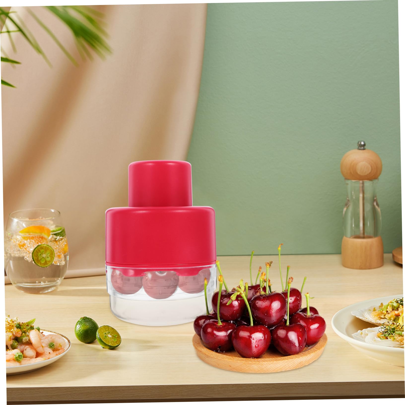 HOLIDYOYO Essential Kitchen Tool Cherry Date Core Remover Stainless Steel Pitter