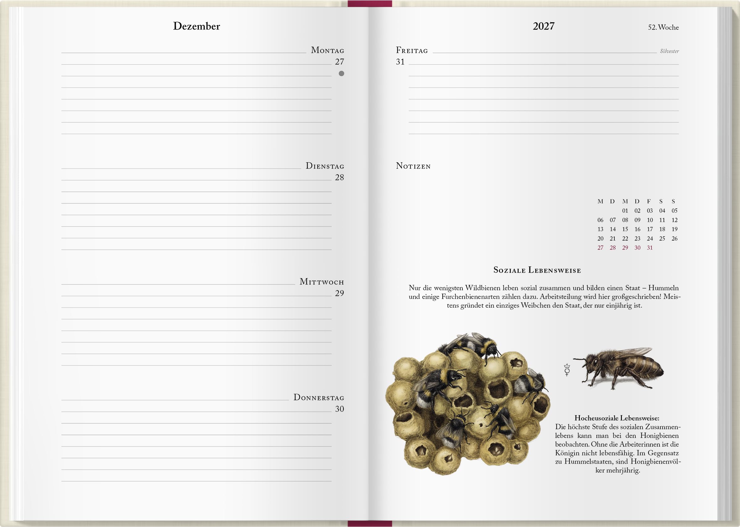 Bienenkalender 2027: Mit einer praktischen Wochenübersicht und bezaubernden Illustrationen. Für Bienen- und Naturliebhaber: Organisieren, beobachten & entdecken mit dem praktischen Taschenkalender.