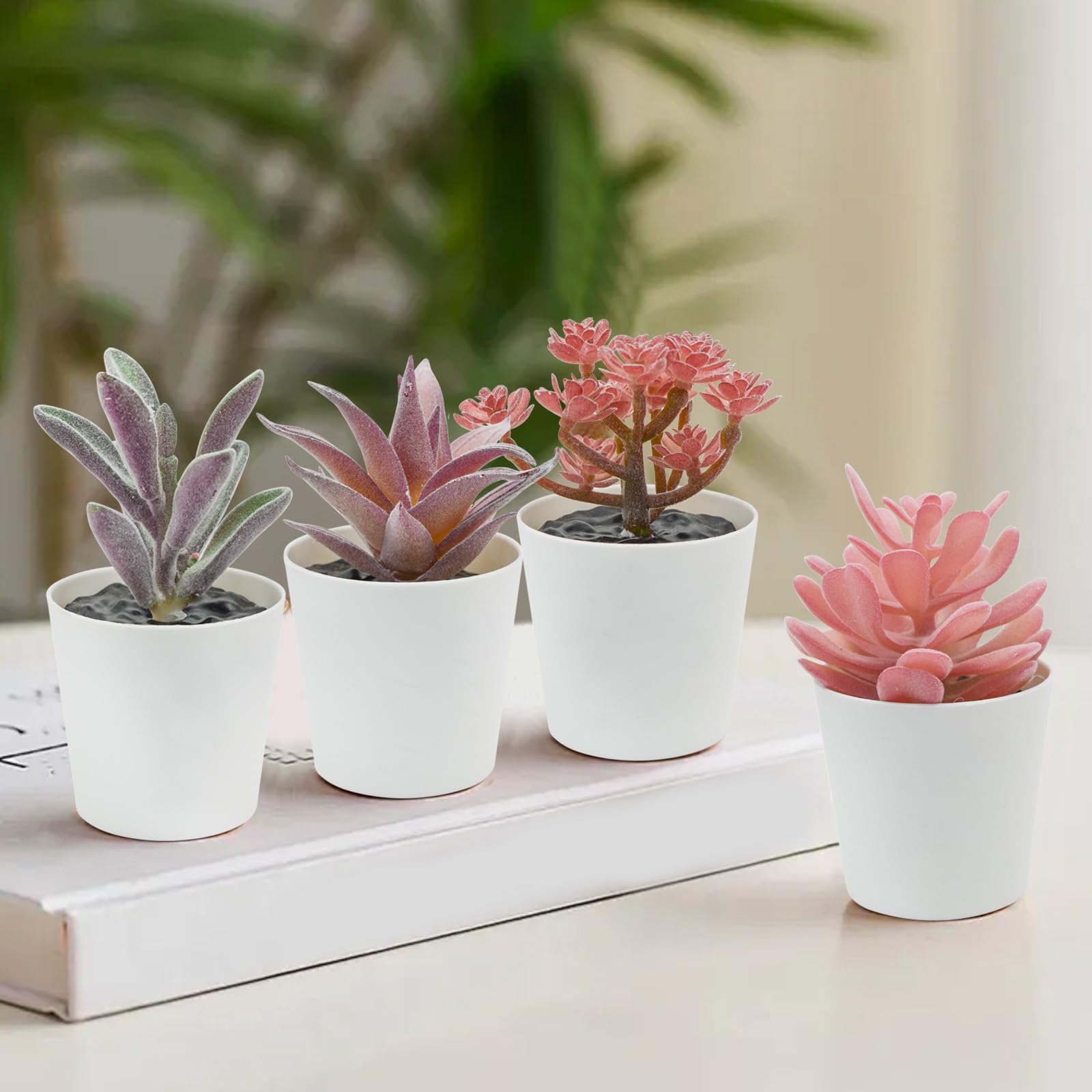 Amazon｜Bacucine 多肉植物 フェイク 6点セット 人工多肉植物 鉢植え 