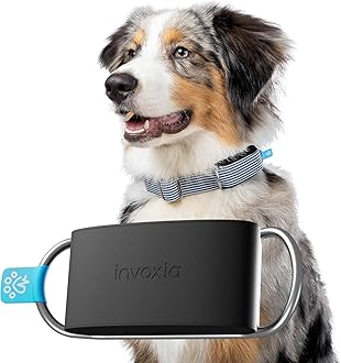 Invoxia Minitailz - No.1 GPS and Health Tracker for Dogs - Escape Alerts, Breath Scan - Real Time Tracking, USB Rechargeable Virtual Zone and Fence - Mini Tracker