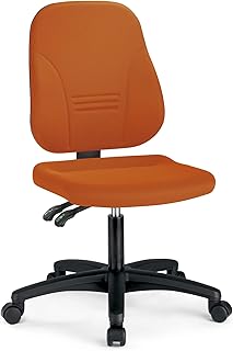 Prosedia Younico Plus-3 - Silla de oficina para niños y jóvenes (muy ergonómica, fabricada en Alemania, certificado TÜV Rheinland)