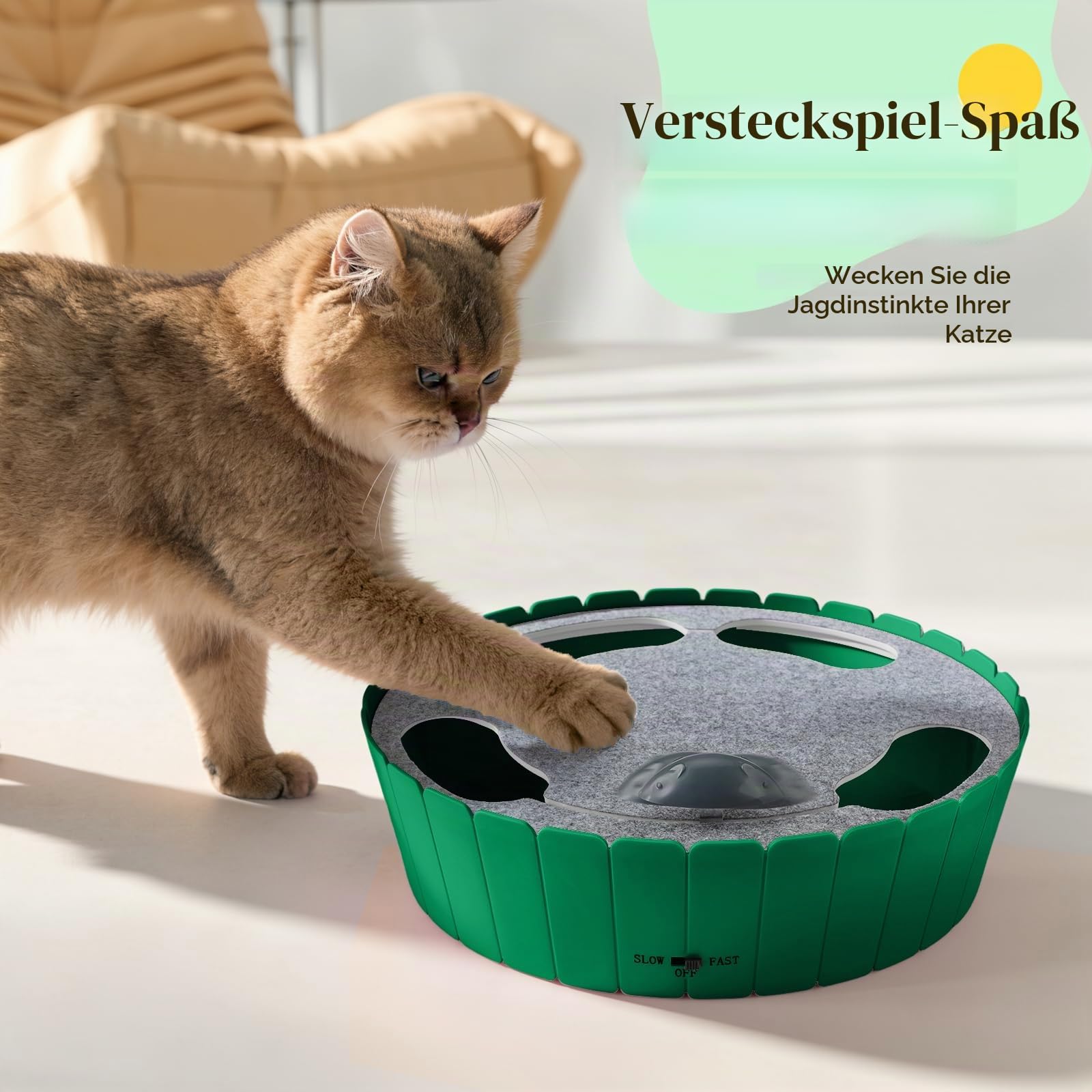 Pawaboo Katzenspielzeug Elektrische Maus, Interaktiv Kätzchen Spielzeug Katzenbett Kratzmatte Katzenminze, Süß und Sicher Spielzeug Spielball für Kleine Katze Spiel Beißen Kauen - Grün