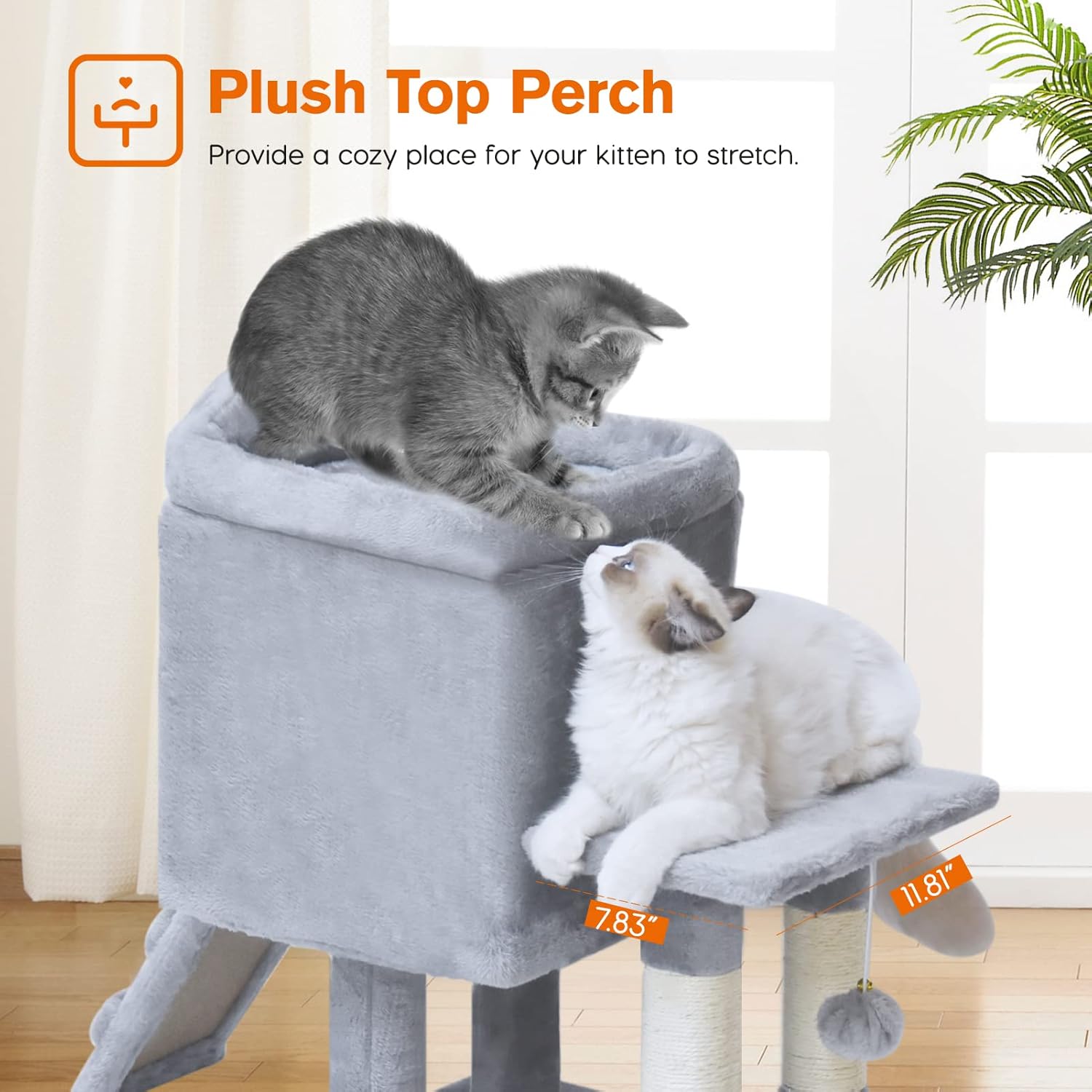 Plush Top Perch on BYPASS Cat Tree