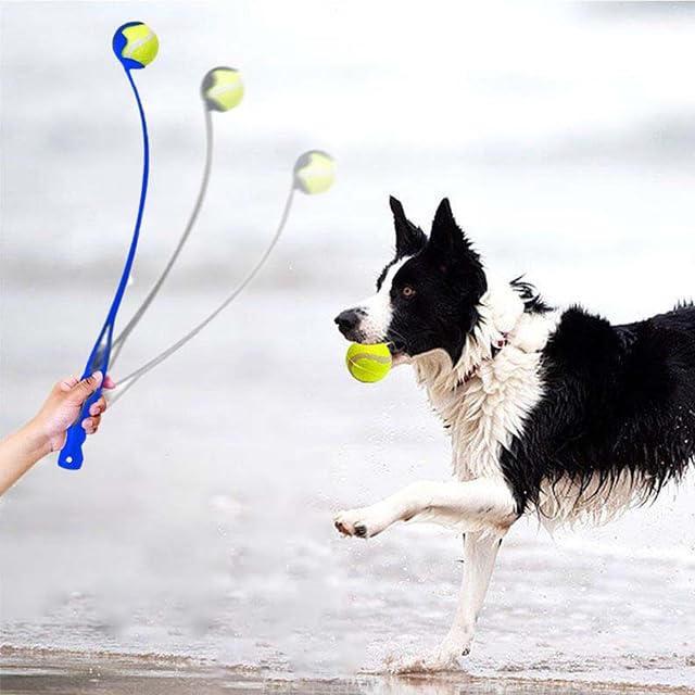 Foto 6 de 7 de KSIEE Lanzador clásico de pelotas, lanzador de bolas para perros