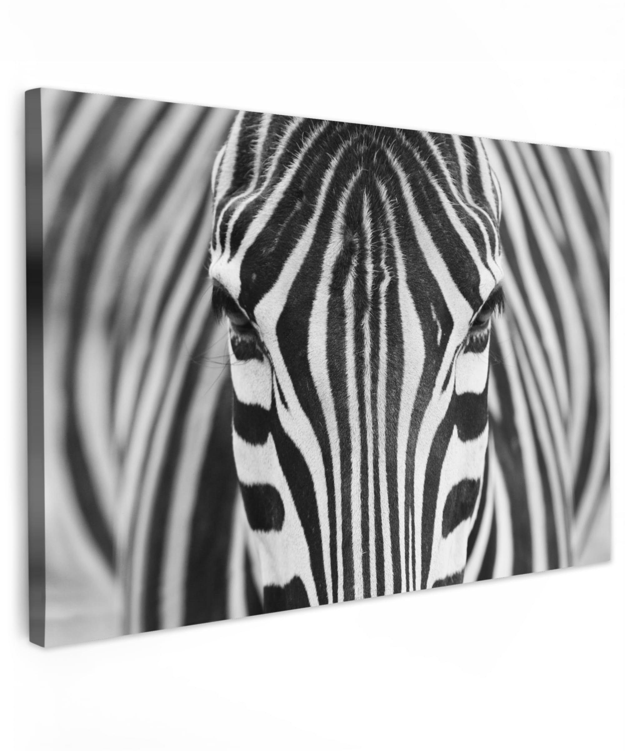 MuchoWow© Cuadros Decorativos Modernos para Sala 120x80 cm Lienzos Decoracion Pared Salon Quadros Decoração Dormitorios Cebra - Animales - Blanco y negro - Retrato