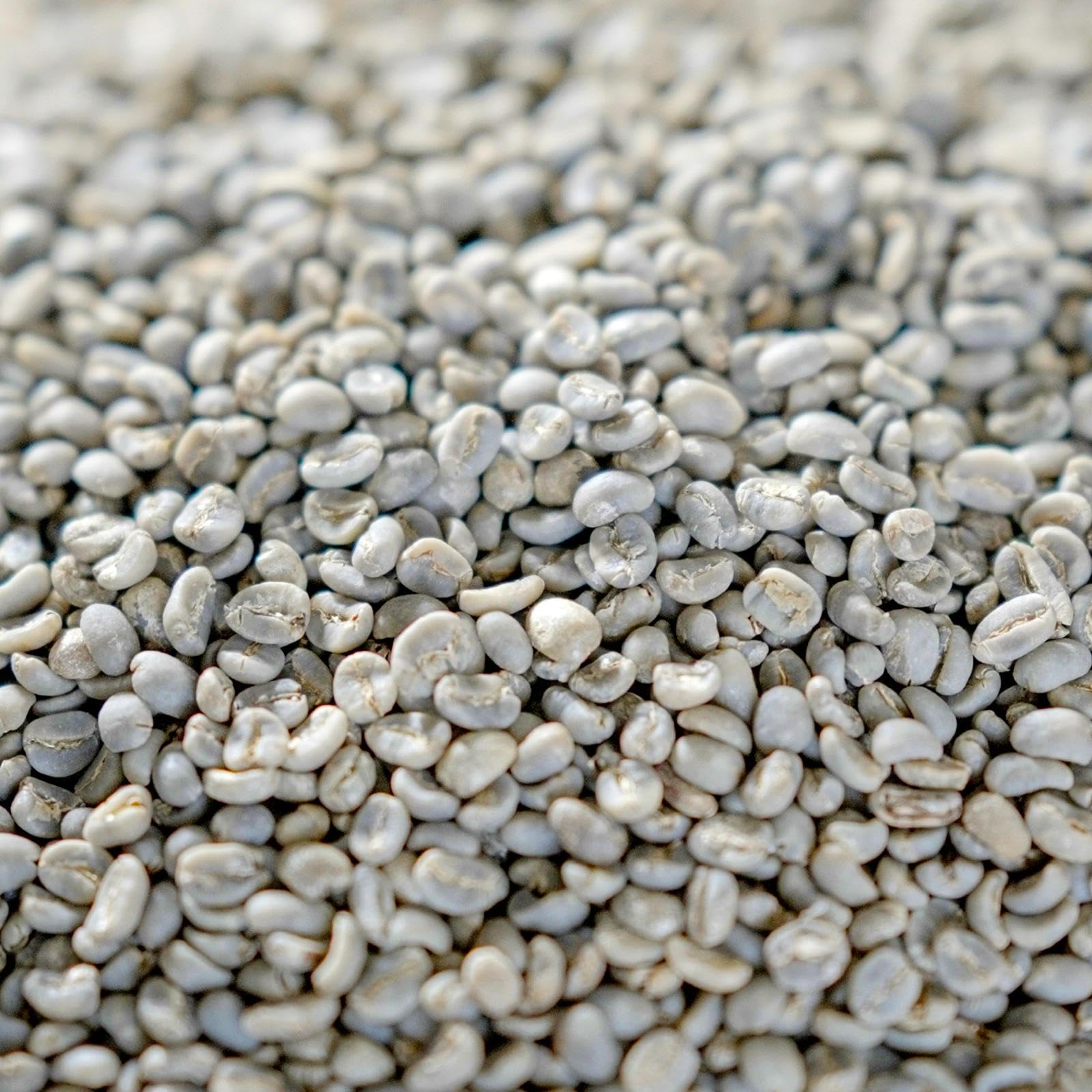 1kg Grüner Spezialitätenkaffee - Kokosnuss Co-Ferment Rohkaffee aus Sumatra - Ungeröstete Kaffeebohnen zum Selbströsten - Catimor Arabica mit natürlichem Kokosaroma