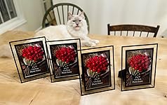 Review Image by I Candy I Candy