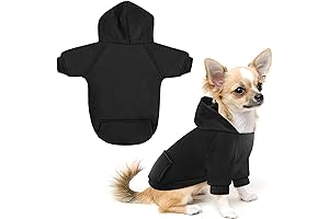 Best Extra Small Dog Jackets
