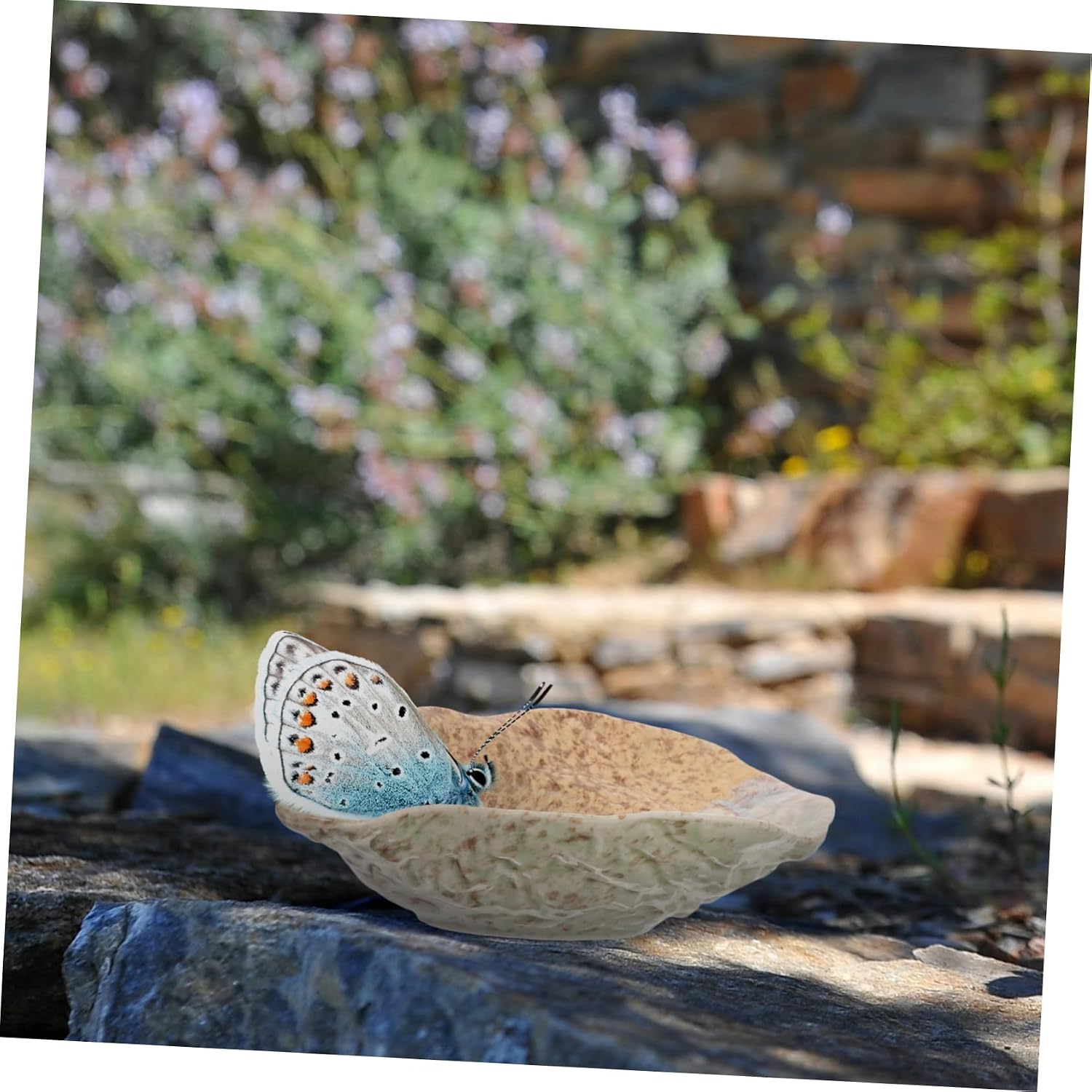 Holibanna Butterfly Feeding Dish Bee Feeder Bird Water Feeder Garden Decor Outdoor Butterfly Puddler