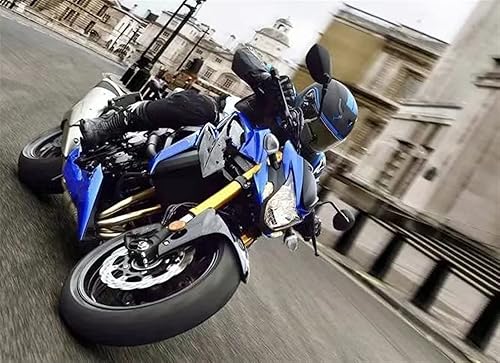 Miniatura 7 de Almohadillas para soporte de motocicleta, placa de extensión para BMW F850GS F750GS F 750 850 GS 2016 2018 2019 (color  titanio)