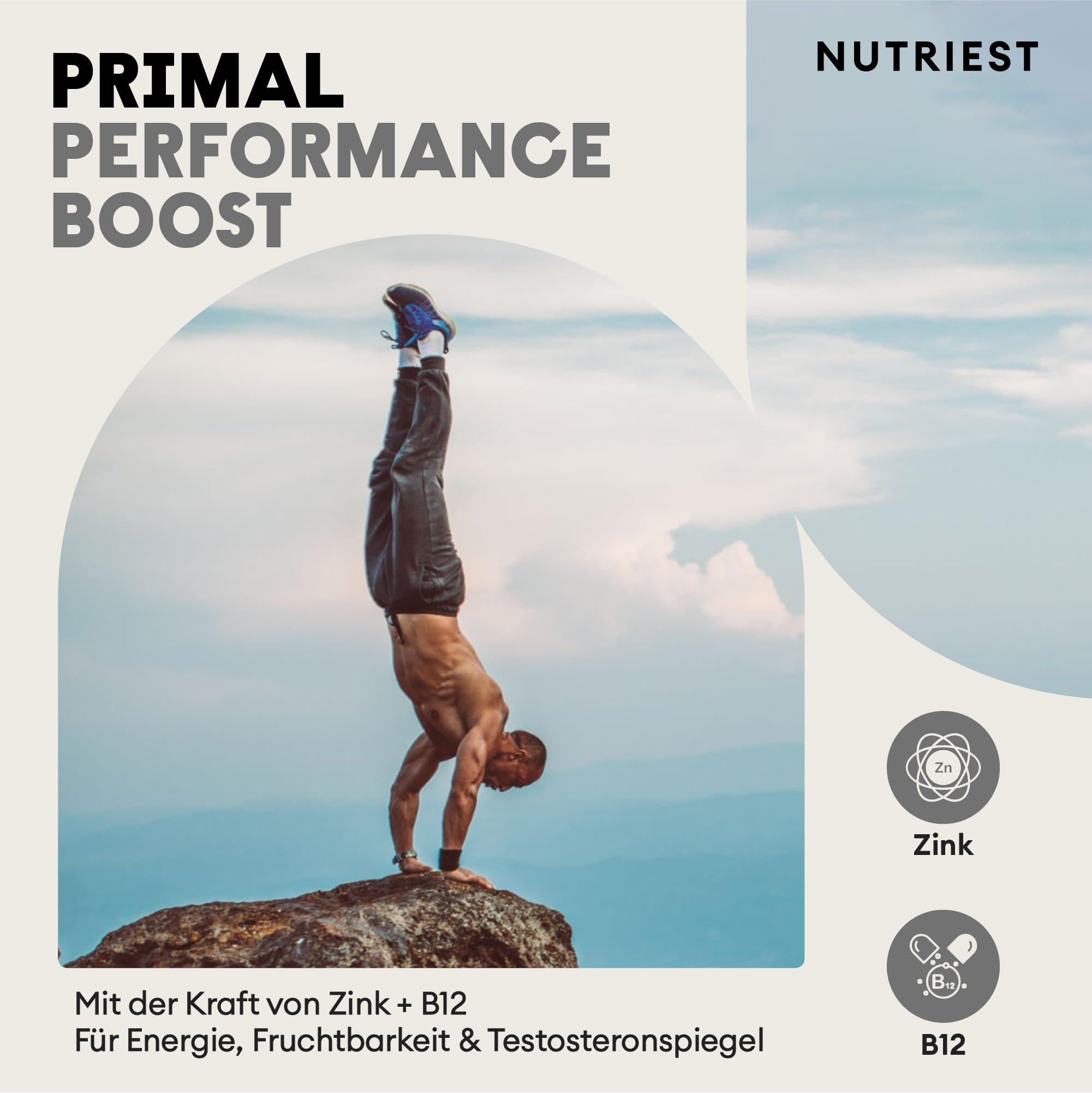 Nutriest Rinderhoden & Austernextrakt Kapseln (240 Stück) – Beef Testicles Supplement | Bio-Weiderind aus Europa | 100% EU-Weidehaltung | Energie, Muskelaufbau & Testosteronspiegel