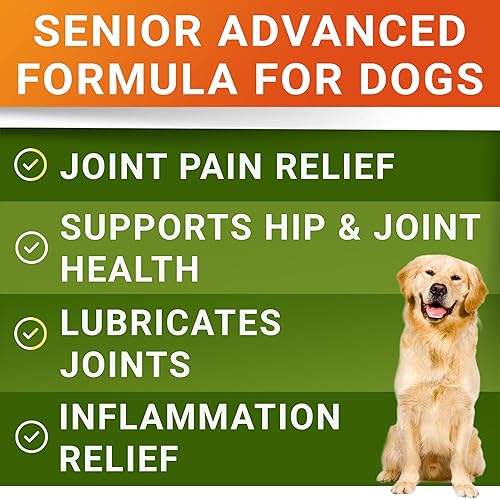 Miniatura 2 de Suplemento Avanzado Senior de Glucosamina Condroitina para Articulaciones de Perros - Pastillas para Alivio del Dolor de Cadera y Articulaciones -
