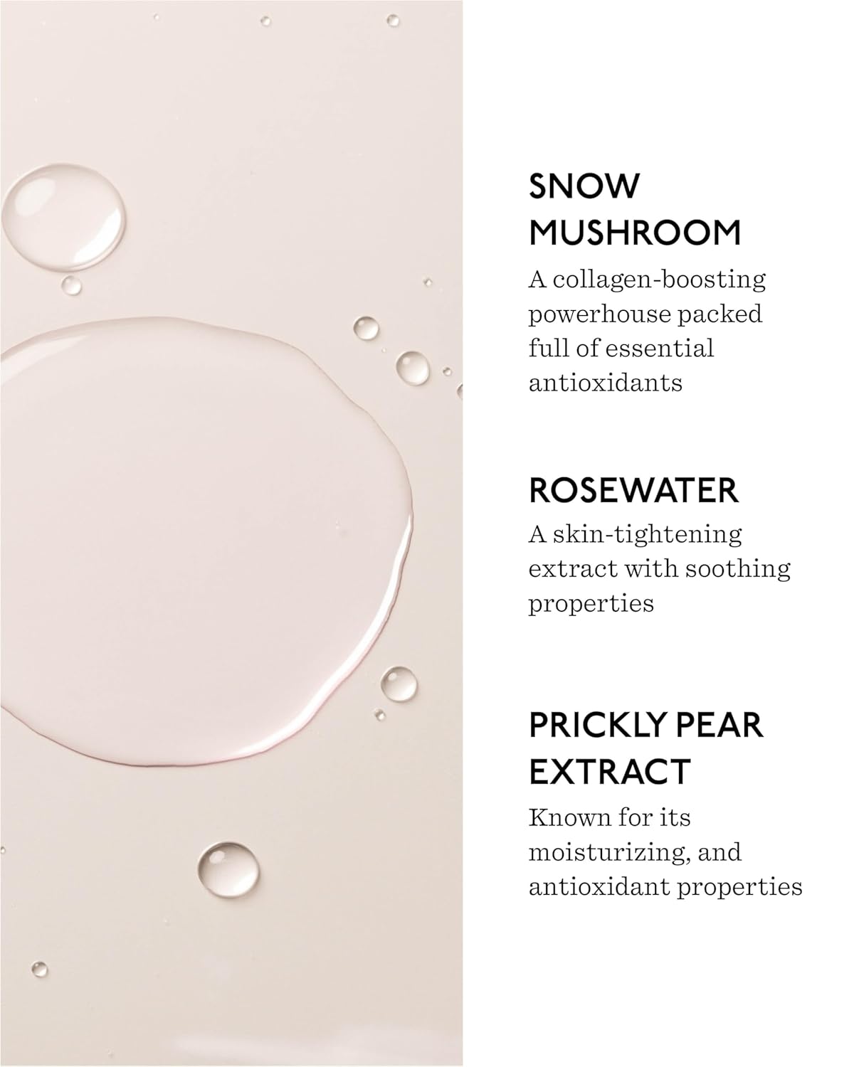 Balancing Face Mist - 3.5 fl oz Refreshing Rosewater Facial Mist for Hydration & pH Balance - Lightweight, Soothing Formula with Snow Mushroom - Vegan & Cruelty-Free