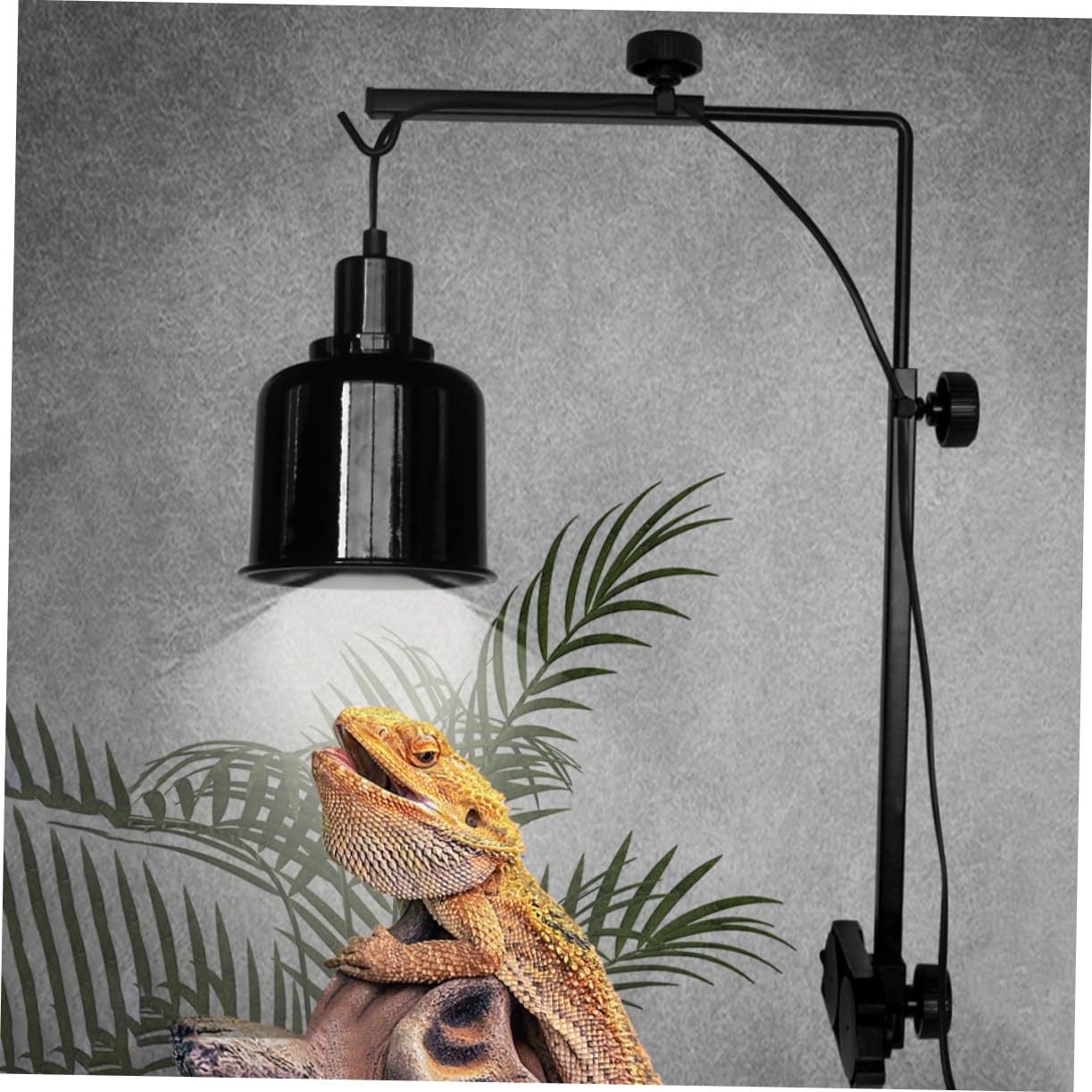 Abaodam Supporto Per Lampada Da Reptile Porta Lampada Per Tartarughe e Pesci Accessorio Per Terrario e Acquario Design Elegante e Resistente