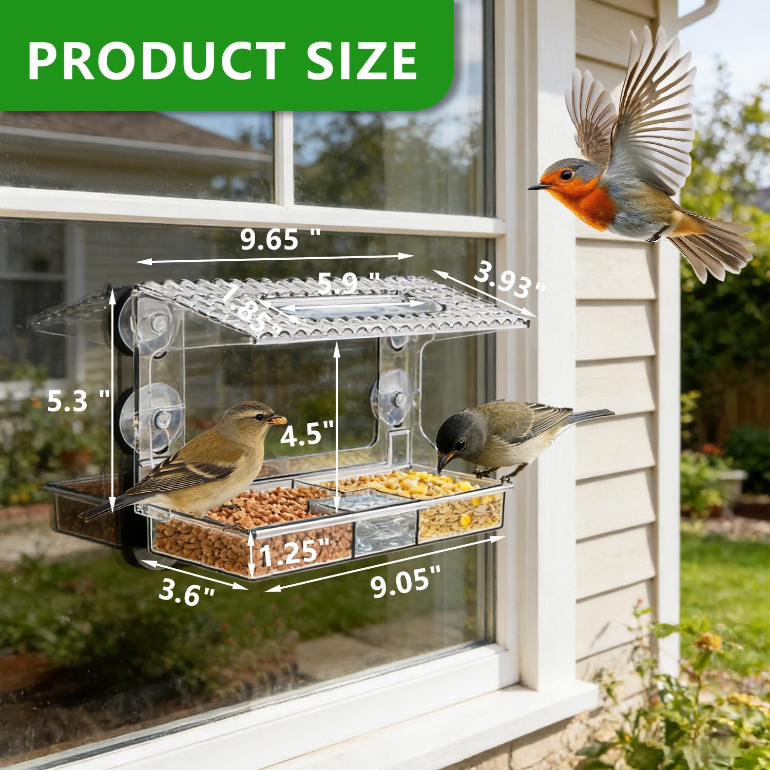 Mangeoire fenêtre Transparente Vue Claire pour Petits Oiseaux Sauvages, Ventouses puissantes