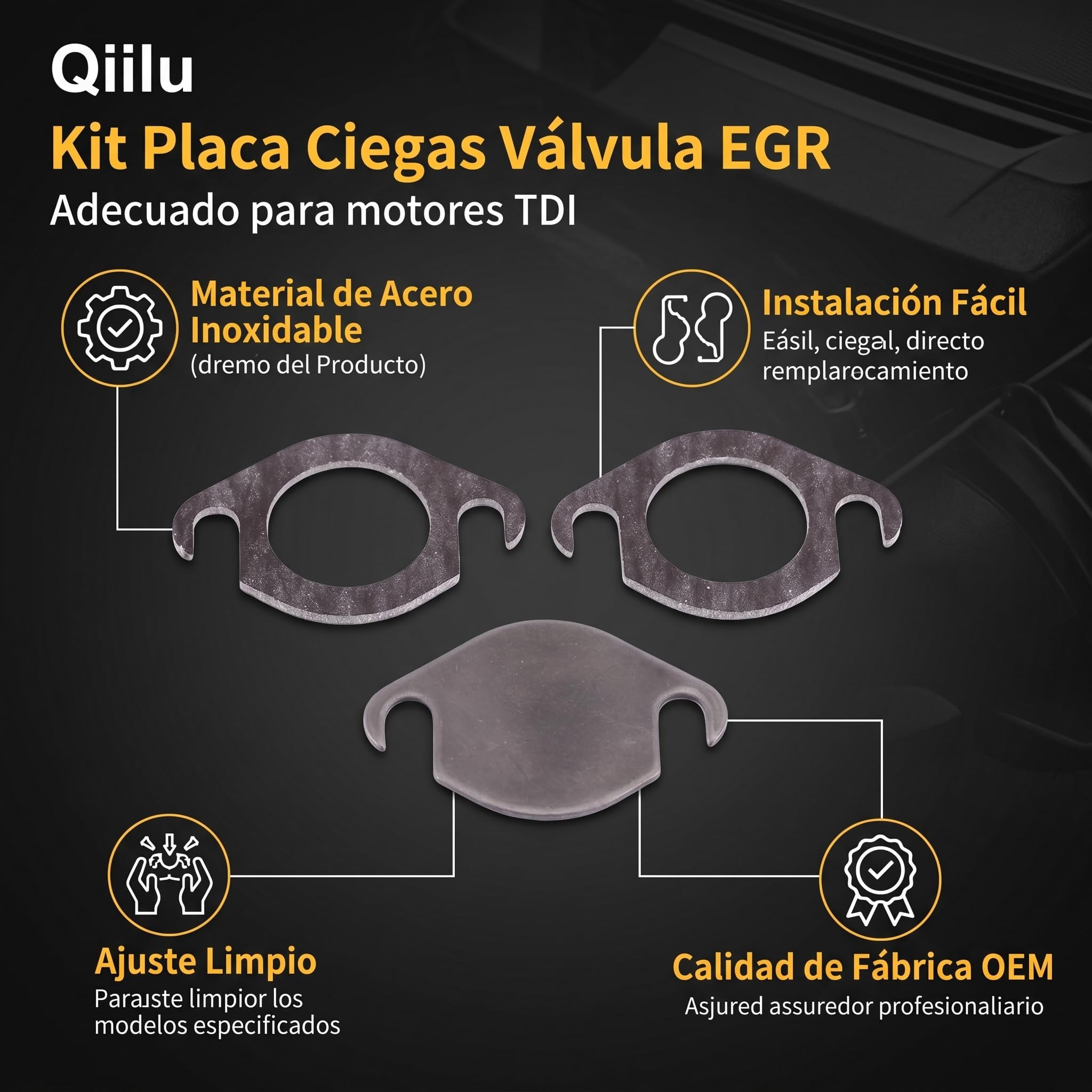 Qiilu - Kit de placa de obturación de válvula EGR con junta