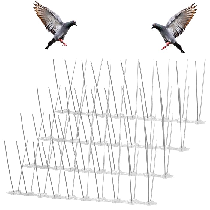 Buy ASTER Bird Spikes for Repellent Pigeons and Small Birds, Stainless