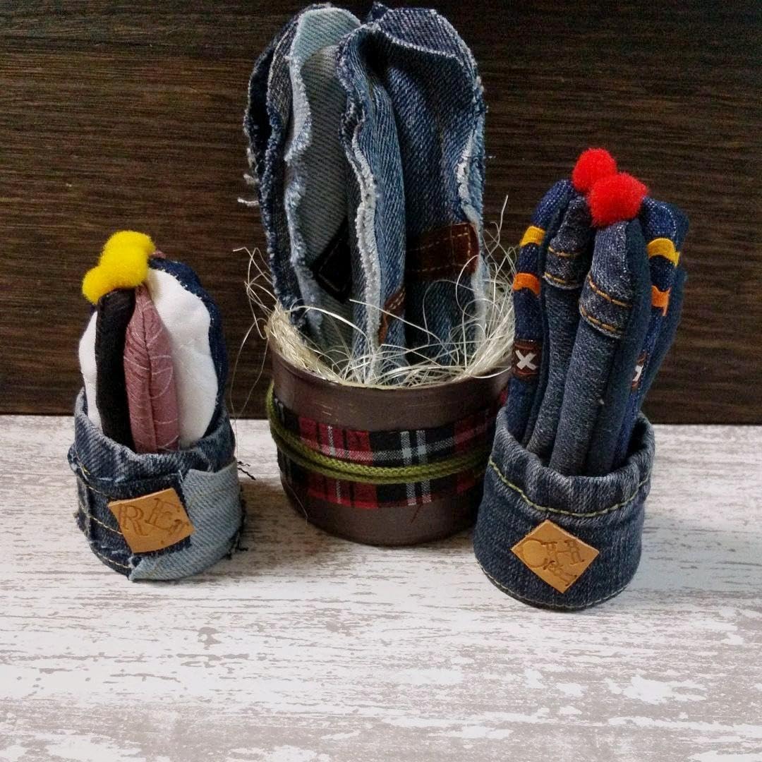 Amazon.co.jp: 22.55 デニムリメイク 植物 サボテン インテリア