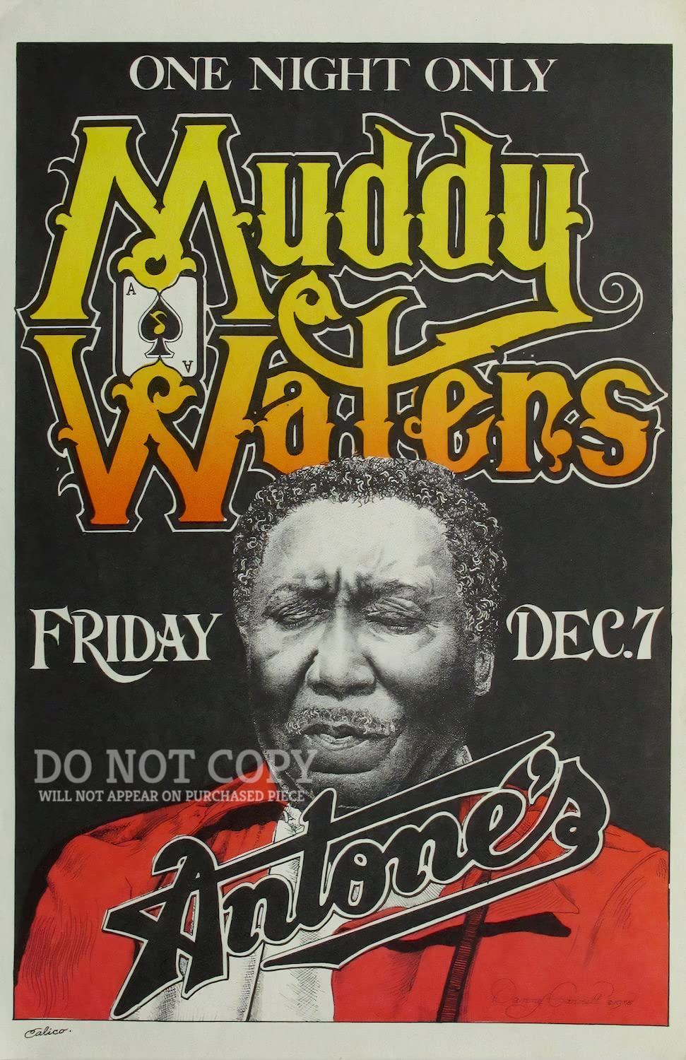Amazon.com: Muddy Waters Concert Poster 11 X 17