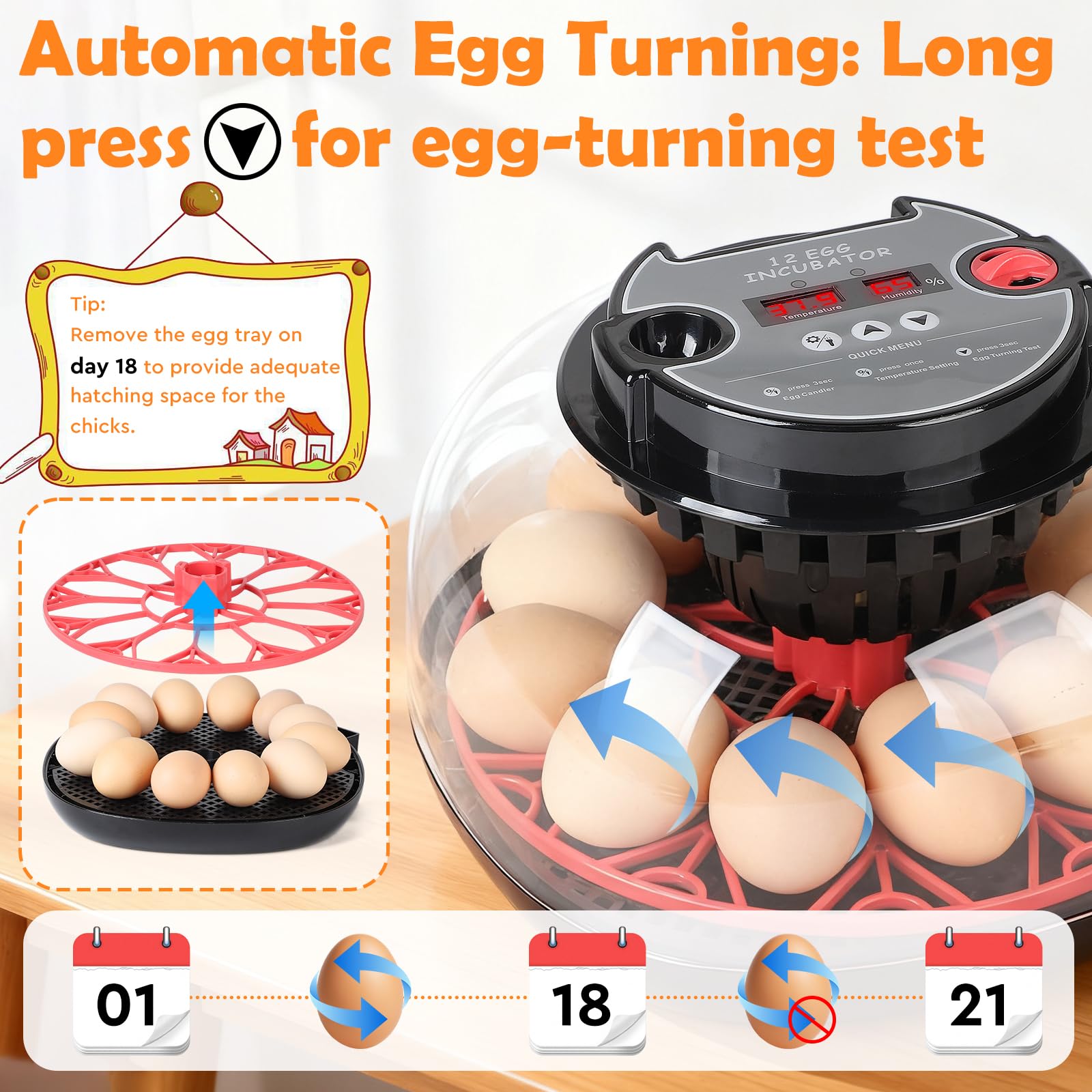 EFUTURETIME Incubadora Automática para Huevos de Gallina, Incubadora con Temperatura y Humedad Ajustables para 12 Huevos, con Volteo Automático, Luz de Inspección