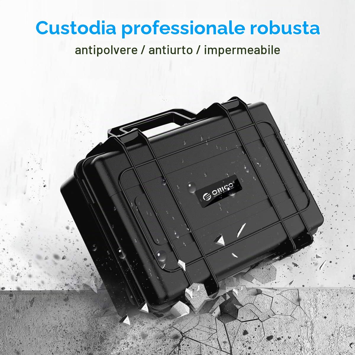 ORICO Custodia Hard Disk Esterno Disco Protettiva per Rigido 3.5, Protezione per 3.5 Durevole Custodia Cavi,Nero