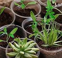 Vista 7 de Paquete de 21 macetas transparentes de vivero de 3.5/5/6 pulgadas para plantas, macetas transparentes para plantas con agujeros de drenaje, macetas