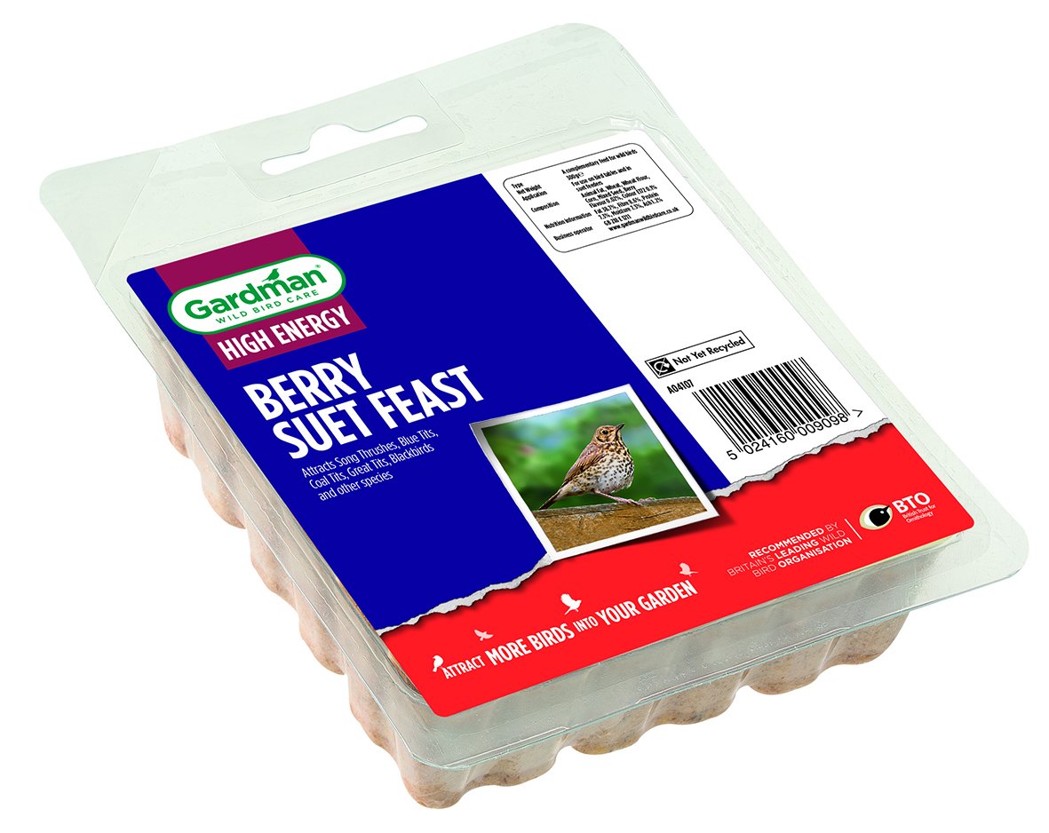 Gardman Berry Suet Feast Block for Wild Birds