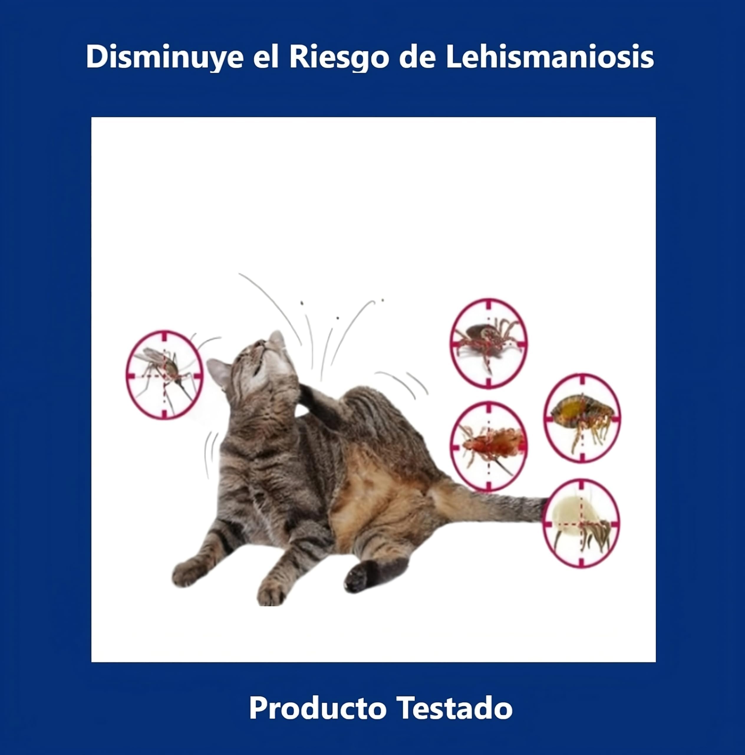 Collar Antiparasitario Gatos y Perros - Desparasitante Gatos Mosquitos, Pulgas y Garrapatas - Collar Antipulgas Gato, Desparasitacion Gato -38cm Ajustable, 8 Meses, Repelente Vegetal, Impermeable