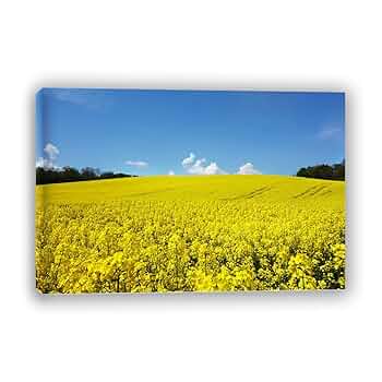 風景画 黄色の家 Amazon.co.jp: ゴッホ『黄色い家』高精彩工芸画+手彩 風景画