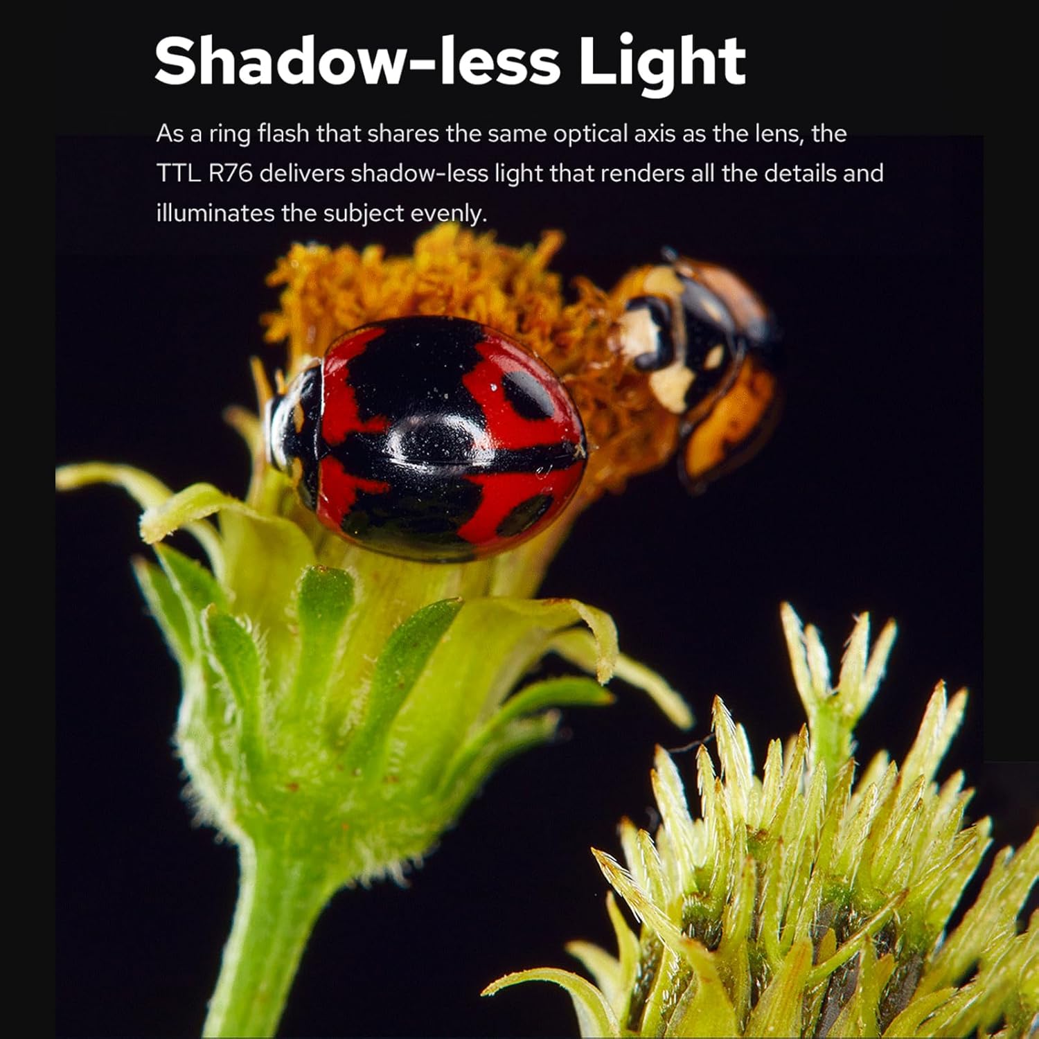 Godox MF-R76N i-TTL Macro Ring Flash Light GN14 10 Levels Adjustable Brightness with 8pcs Adapter Ring Large Capacity Battery Replacement for Nikon Camera