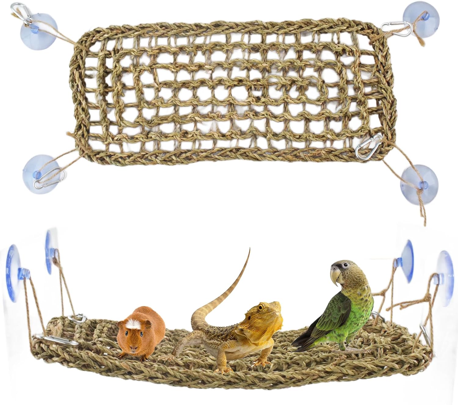 Cdipesp Bird Seagrass Mat Bearded Dragon Hammock Reptile