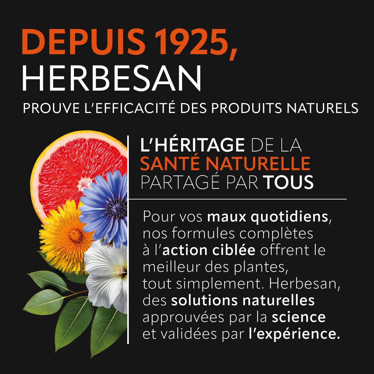 HERBESAN®- GELÉE ROYALE BIO 1 000MG - Fortifiant - Cuillère doseuse incluse -Conditionné en France - Pot de 40g