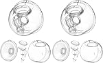 Breast Pump Parts Flange Insert 17mm Replacement Accessories Compatible with Momcozy Bellababy TSRETE MOMMED Mumgaroo Bioby Lansinoh NCVI Nuliie NICEGREEN Life Medela max Flow Hand Pump Etc 24mm Breast Shields/Flange, 2 Pcs